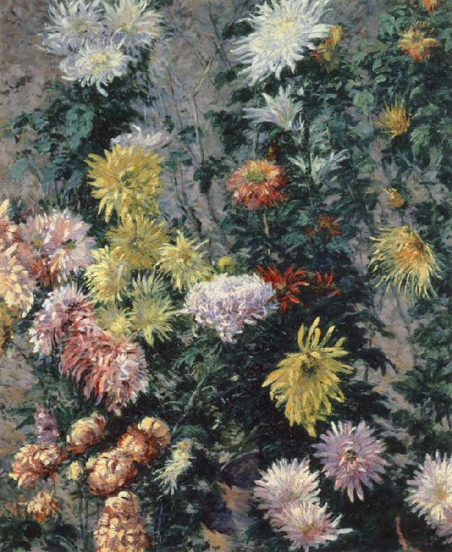 Gustave Caillebotte Chrysanthemums,Garden at Petit Gennevilliers France oil painting art